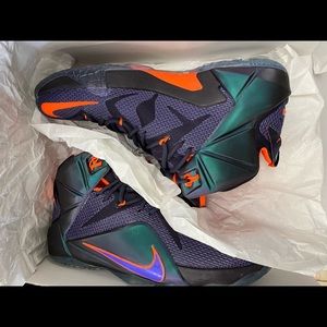 LEBRON XII
